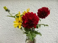 CIMG1317.webp