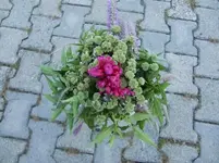 CIMG1336.webp