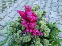 CIMG1337.webp