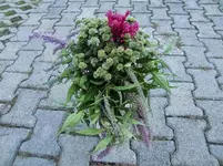 CIMG1338.webp