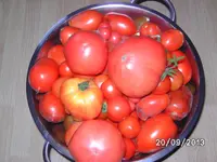 BILD4100.webp