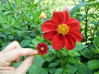 CIMG1206.webp