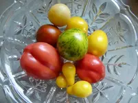 CIMG1313.webp
