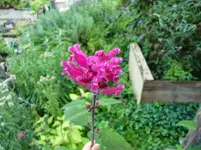 CIMG1115.webp