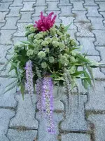 CIMG1339.webp