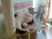 Bild066.webp