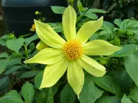 CIMG1304.webp