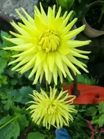 CIMG1215.webp