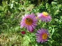CIMG1294.webp