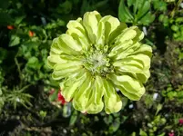 CIMG1257.webp