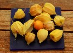 Physalis_Ernte_900.JPG