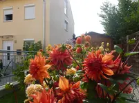 P1090882.webp