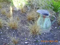 sept 10 005.webp