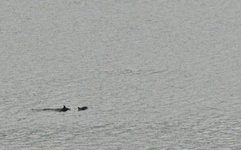 Copy of IMG_0805.webp