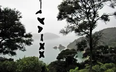 Copy of IMG_0803v.webp