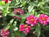 066.webp