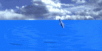 delfin-0029.gif