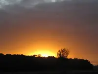Bild 730.webp