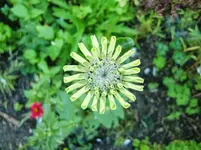 CIMG1356.webp