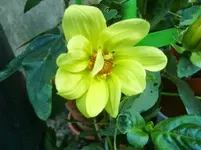 CIMG1385.webp