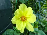 CIMG1386.webp