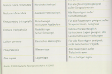 Tiefschnitt.webp