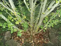 DSC04922.webp