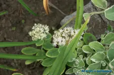 comp_DSC00450.webp