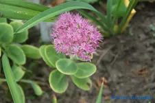 comp_DSC00467.webp