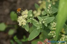 comp_DSC00469.webp