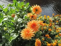 065.webp
