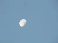 018.webp