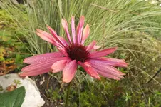 2013_0924Herbst0002.webp