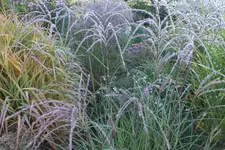 2013_0925Herbst0006.webp