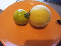 20130921_171910.webp