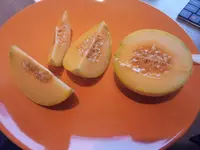 20130921_172031.webp