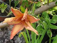 007_1024x768.webp