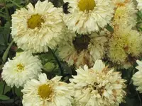 Bilda 0368.webp