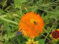 Bilda 0173.webp