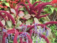 Bilda 0421.webp
