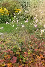 2013_0921Sommer0039.webp
