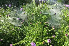 2013_0925Herbst0005.webp