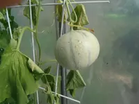 DSCF3252.webp