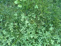 IMG_20130925_183001.webp