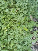 IMG_20130925_182858.webp