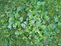 IMG_20130925_182931.webp