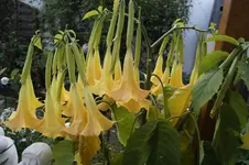 _DSC3415.webp