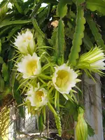 Sept.2013 002.webp