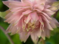 RIMG0164.webp