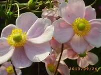 sept 11 026.webp